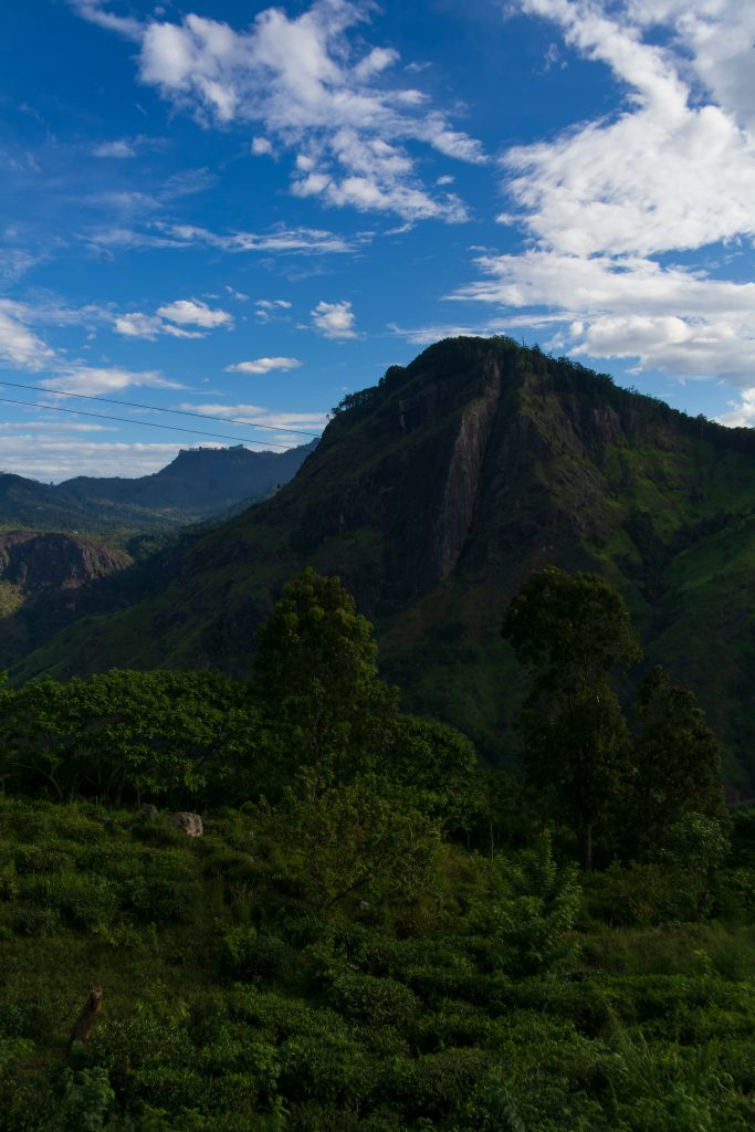 Panoramic view of Sri Lanka highlands and scenic mountain landscape