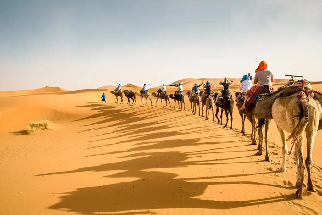 Camel trekking across the Sahara Desert dunes