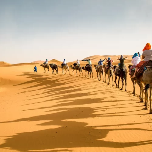 Camel trekking across the Sahara Desert dunes
