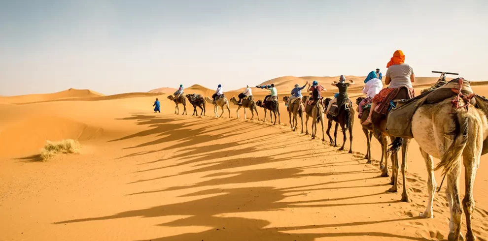 Camel trekking across the Sahara Desert dunes
