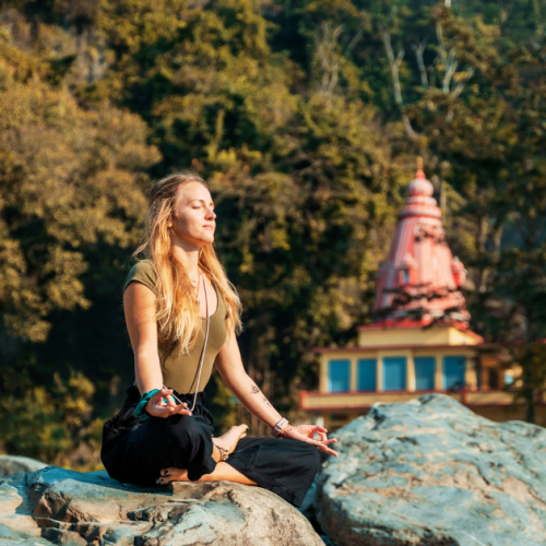 The Travellers - Yoga & Wellness Retreat India